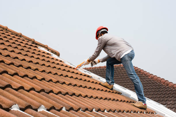 Professional  Roofing repair and installation in Stuttgart, AR